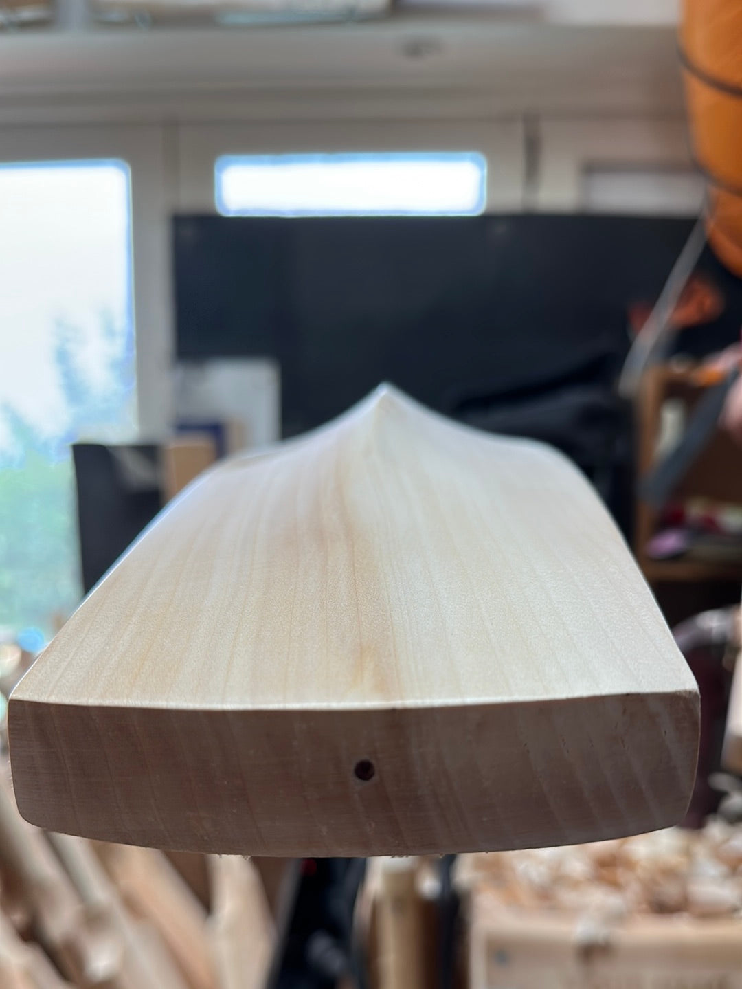 JPGavan Secret Willow Cricket Bat - 496