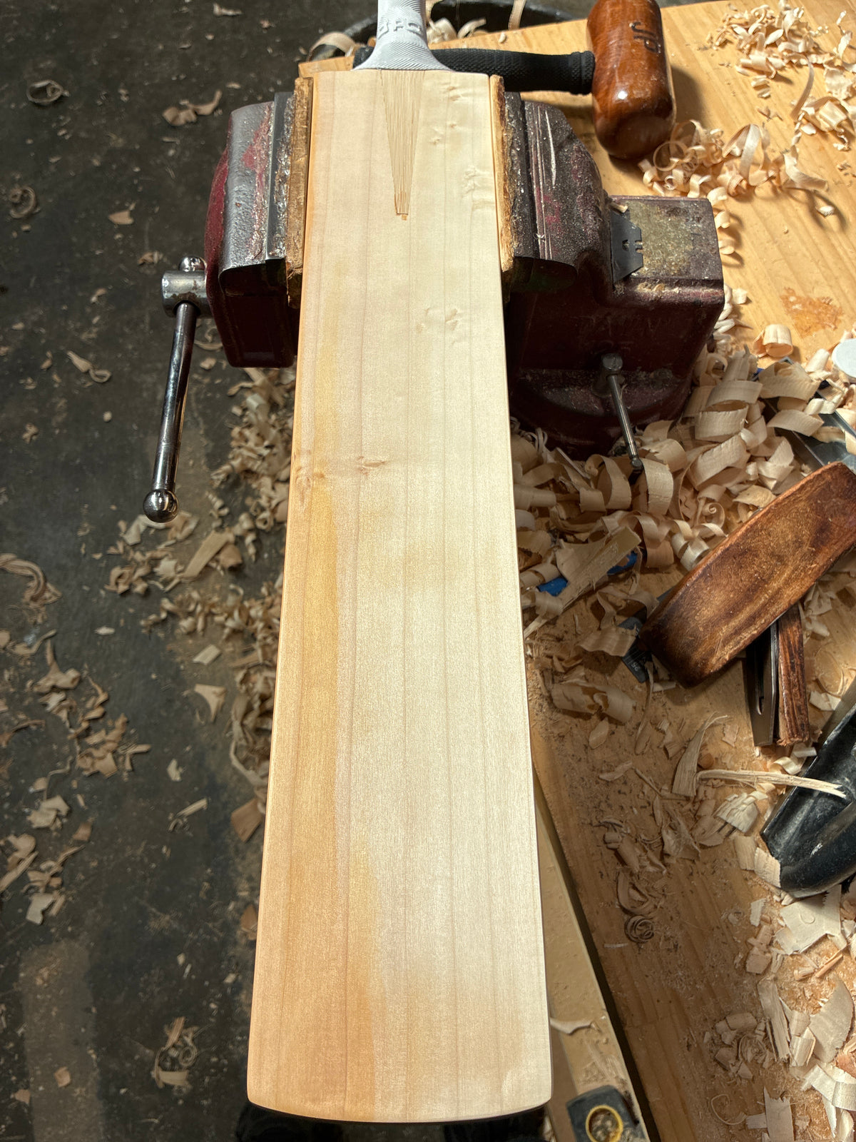 JPGavan Test Cricket Bat - 410