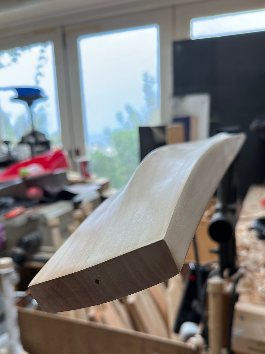 JPGavan Secret Willow Cricket Bat - 493