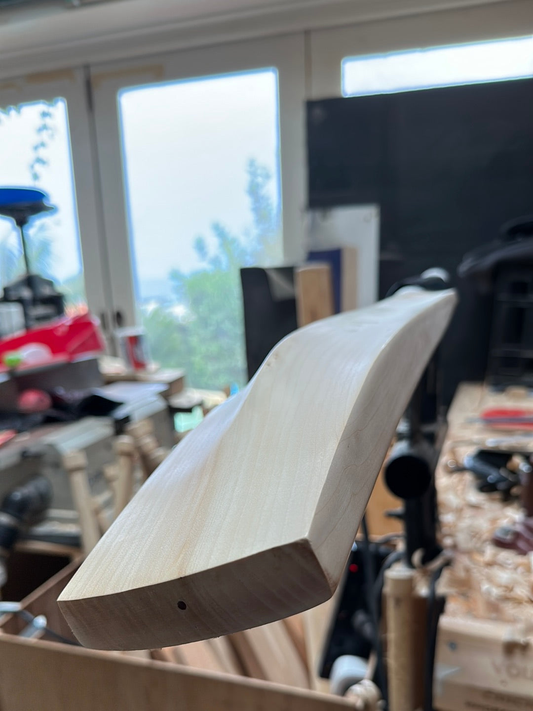 JPGavan Secret Willow Cricket Bat - 496