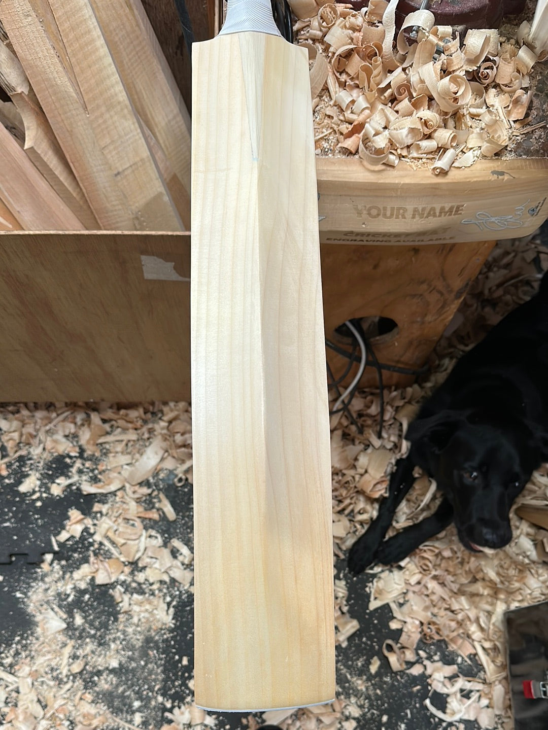 JPGavan Secret Willow Cricket Bat - 469