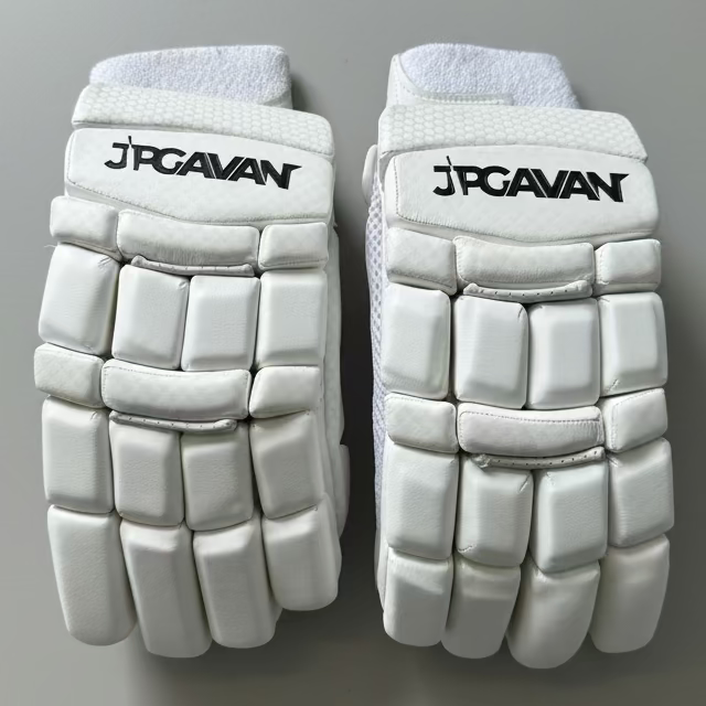 JPGavan Professional Plus cricket batting gloves
