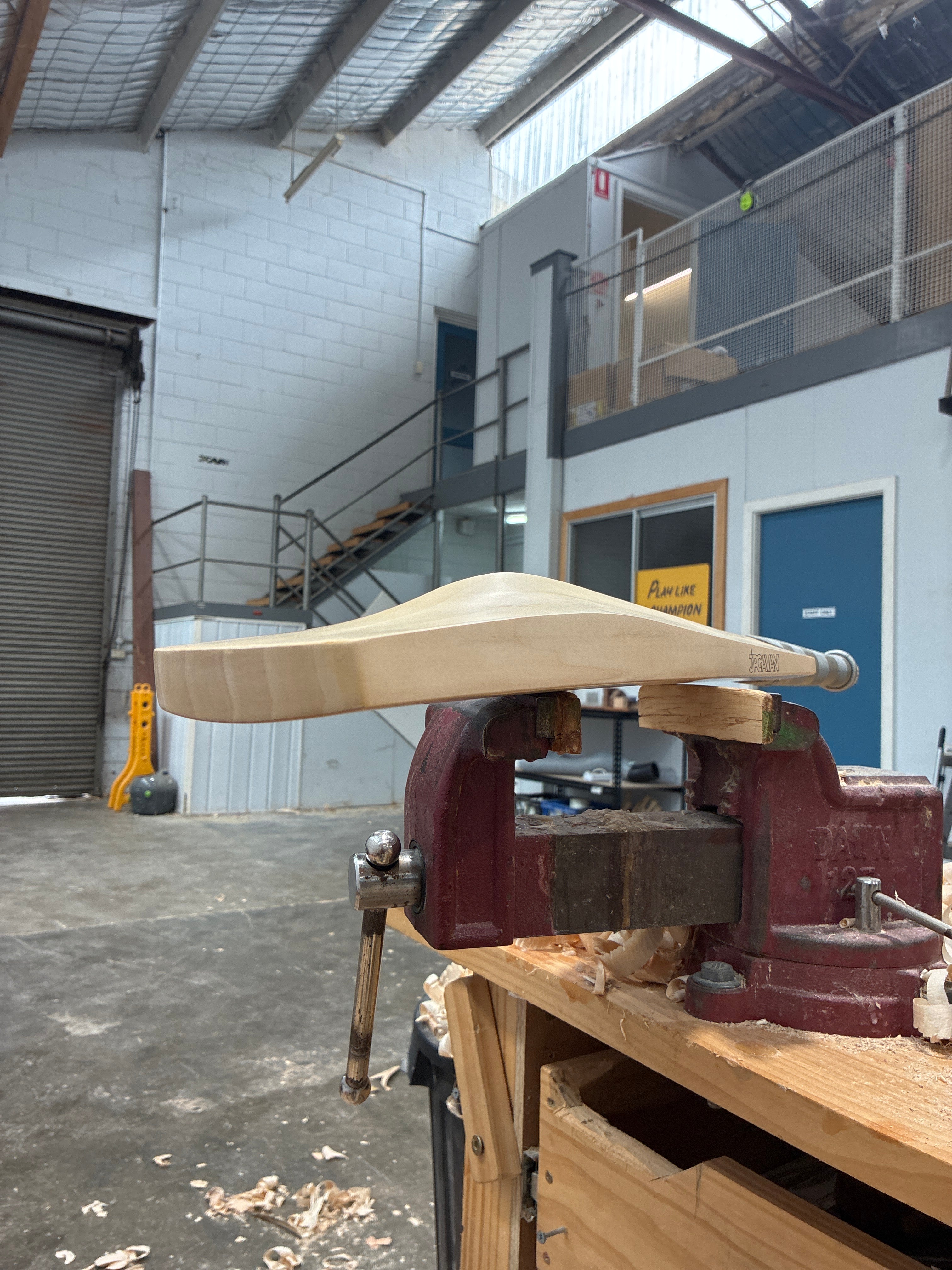 JPGavan Test Cricket Bat - 368