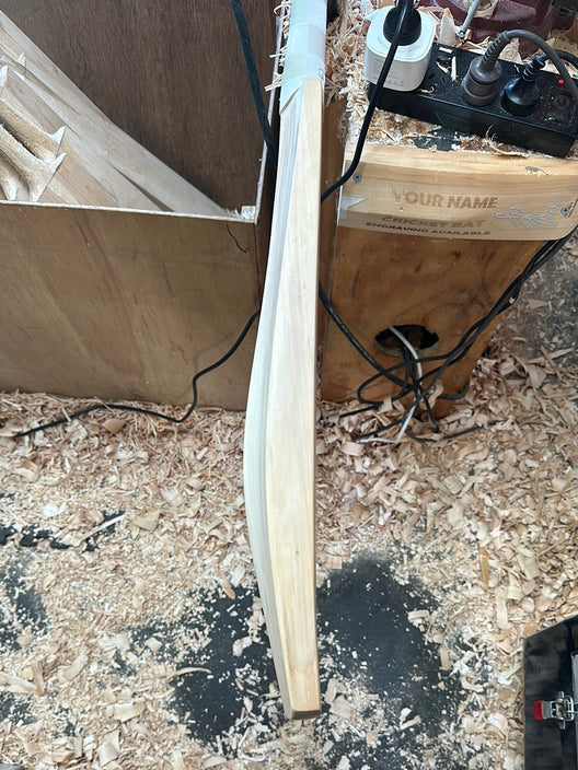 JPGavan Performance Cricket Bat - 573