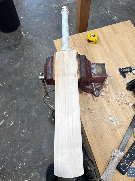 JPGavan Test Cricket Bat - 903