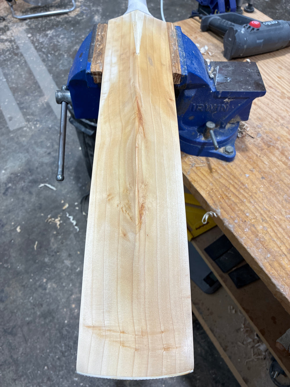 JPGavan Little Ripper+ G1 Cricket Bat - 56, photo 5