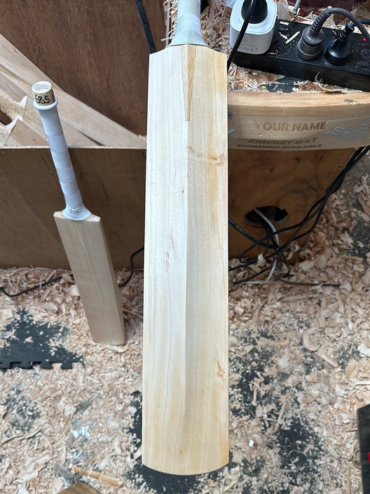 JPGavan Test Cricket Bat - 586