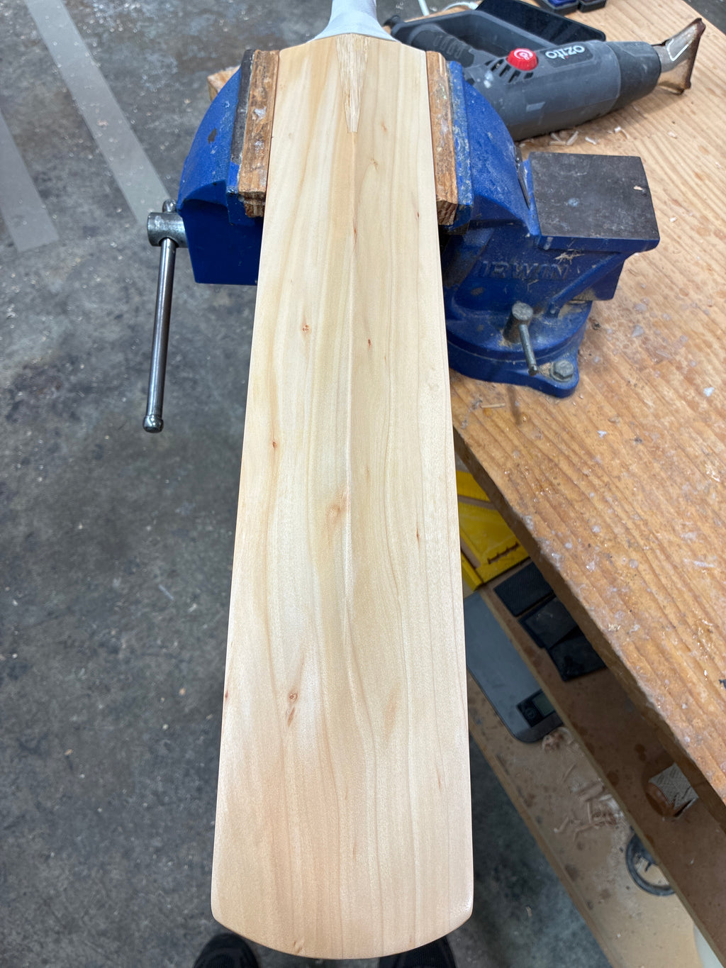 JPGavan Test Cricket Bat - 394