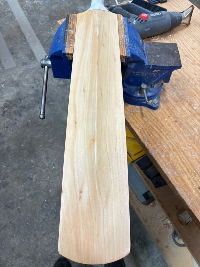 JPGavan Test Cricket Bat - 394