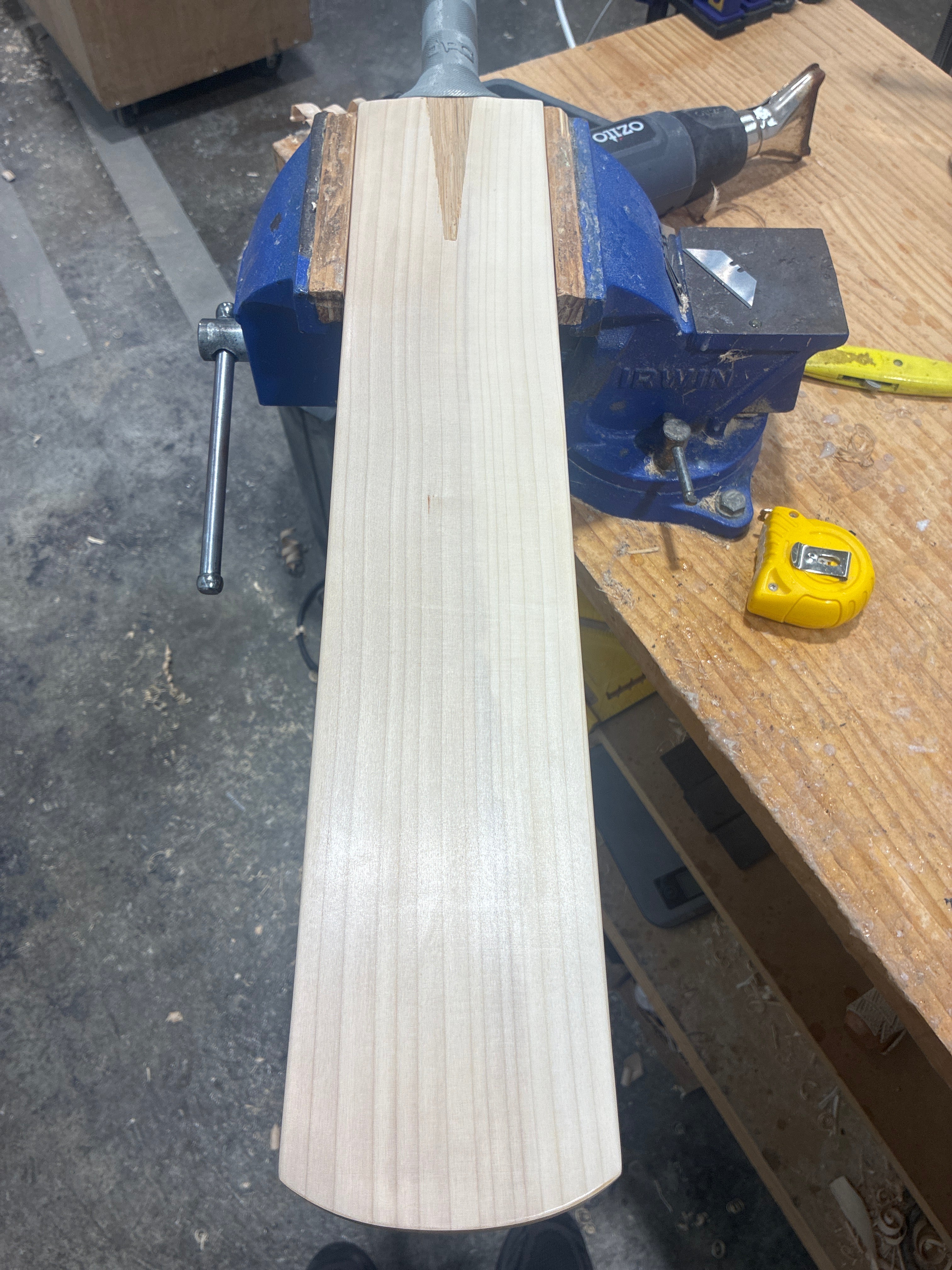 JPGavan Professional Plus Cricket Bat - 307