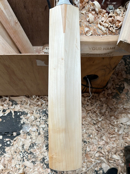 JPGavan Test Cricket Bat - 389