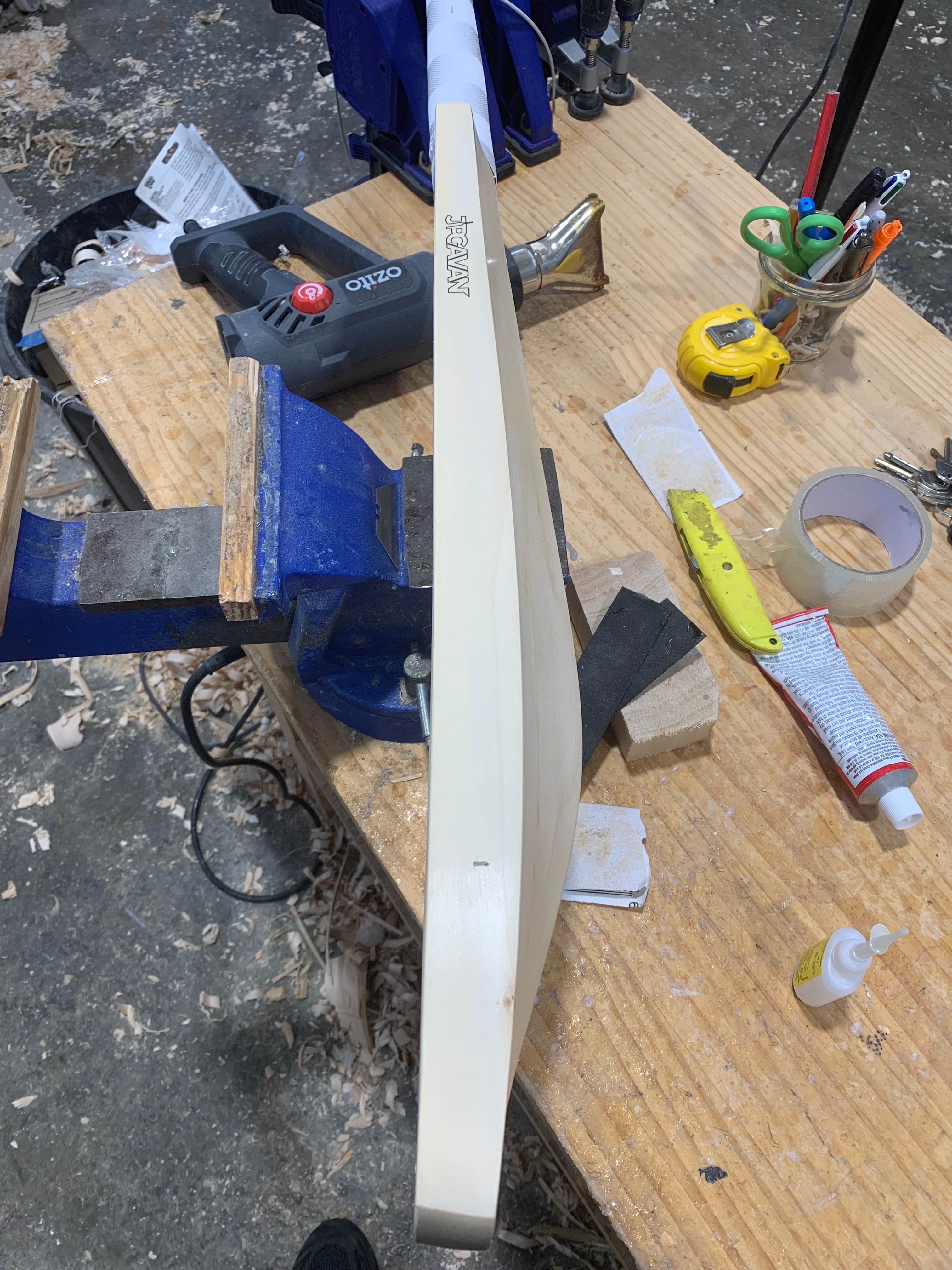 JPGavan Professional Plus Cricket Bat - 169