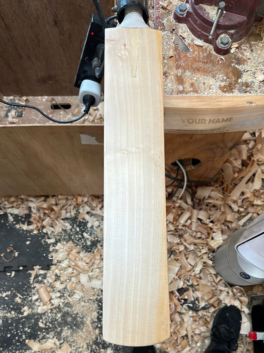 JPGavan Test Cricket Bat - 520