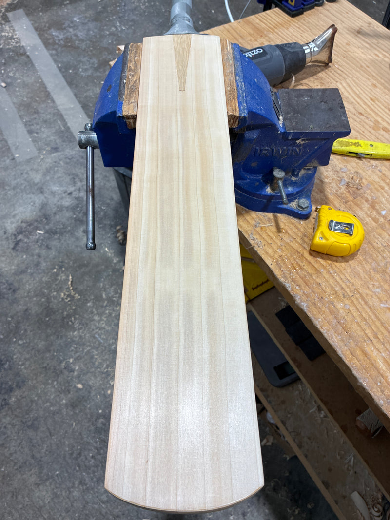 JPGavan Test Cricket Bat - 314