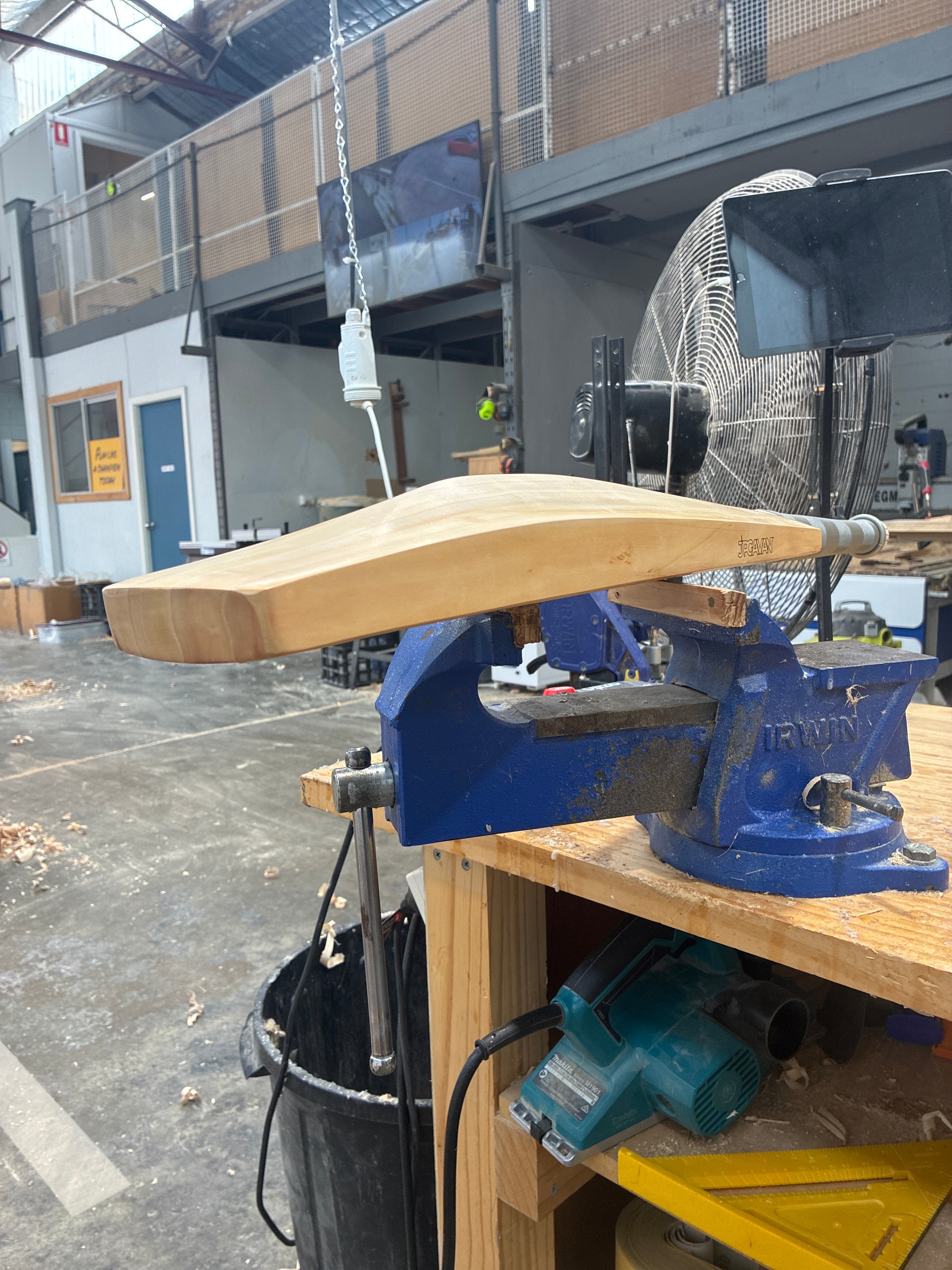 JPGavan Performance Cricket Bat - 260