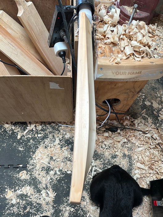 JPGavan Test Cricket Bat - 505