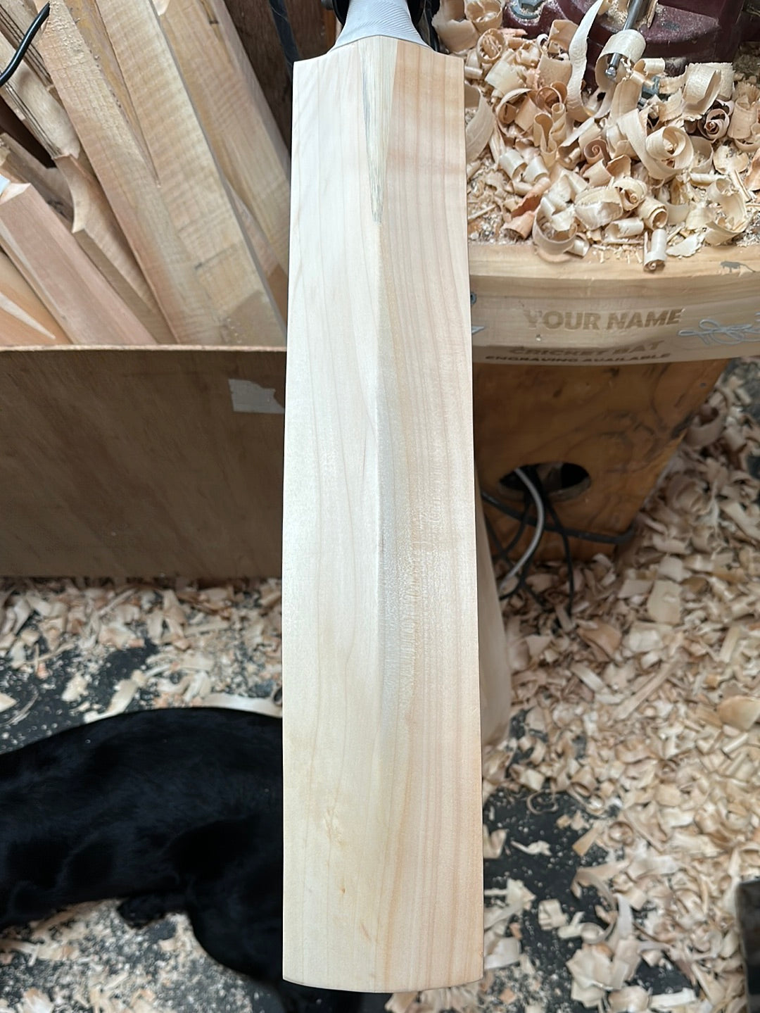 JPGavan Secret Willow Cricket Bat - 468
