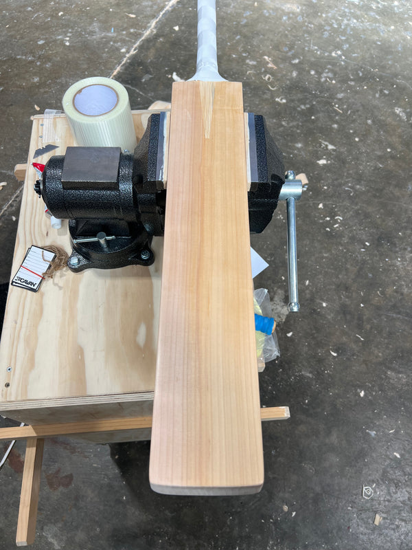 JPGavan Professional Plus Cricket Bat - 545