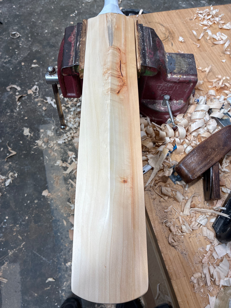 JPGavan Test Cricket Bat - 417