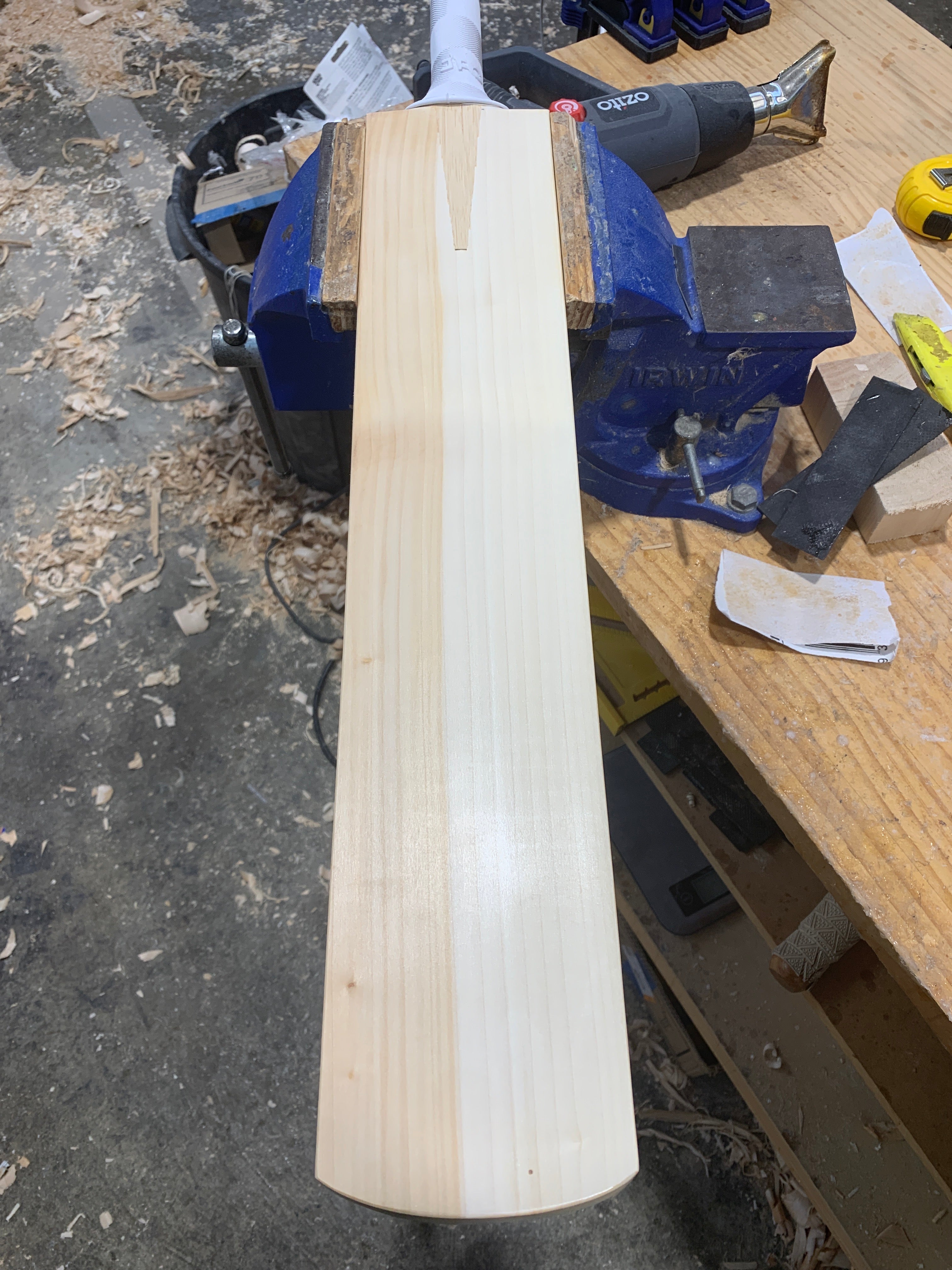 JPGavan Professional Plus Cricket Bat - 169