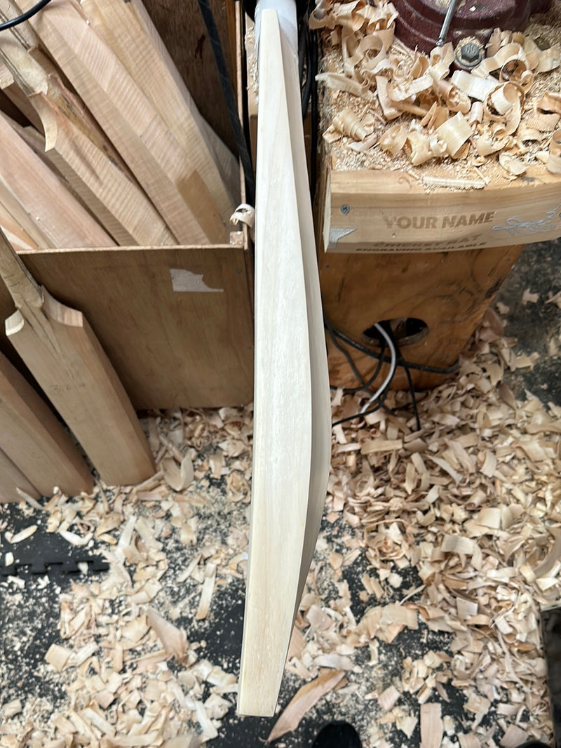 JPGavan Secret Willow custom cricket bat #446, back view