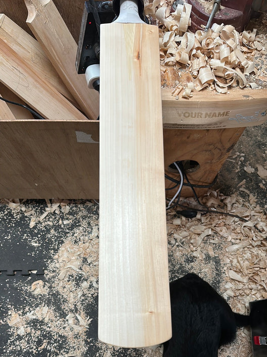 JPGavan Test Cricket Bat - 505
