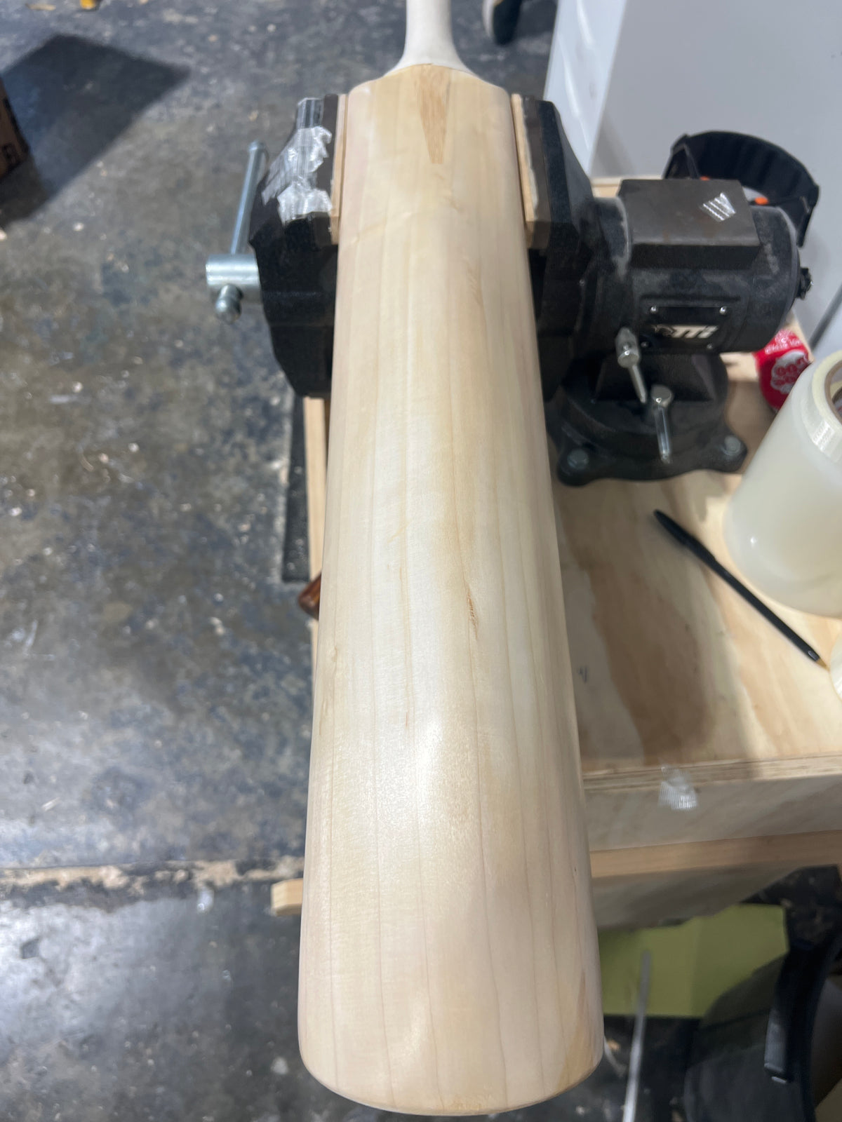 JPGavan Test Cricket Bat - 575 TORPEDO