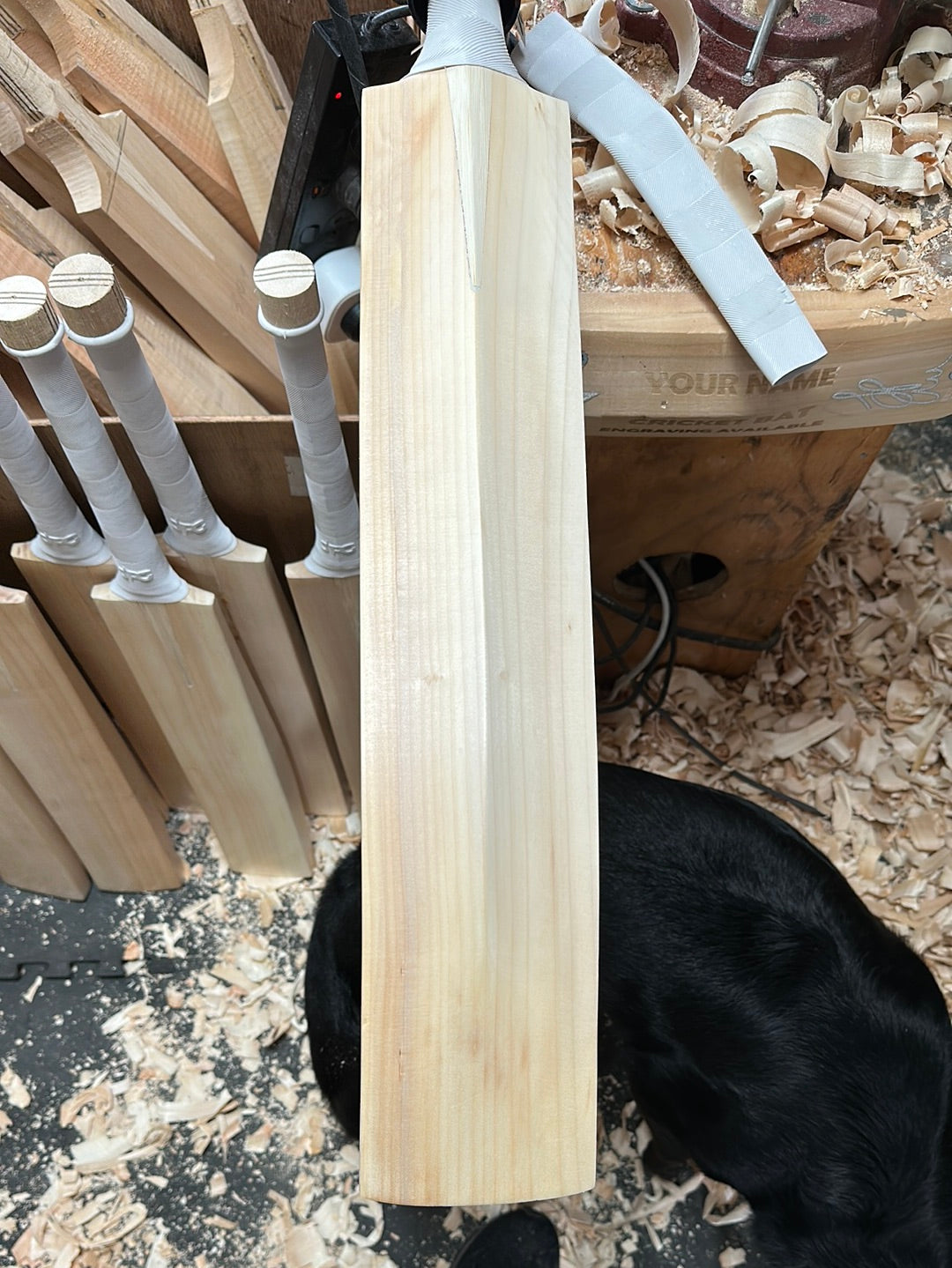 JPGavan Secret Willow Cricket Bat - 488