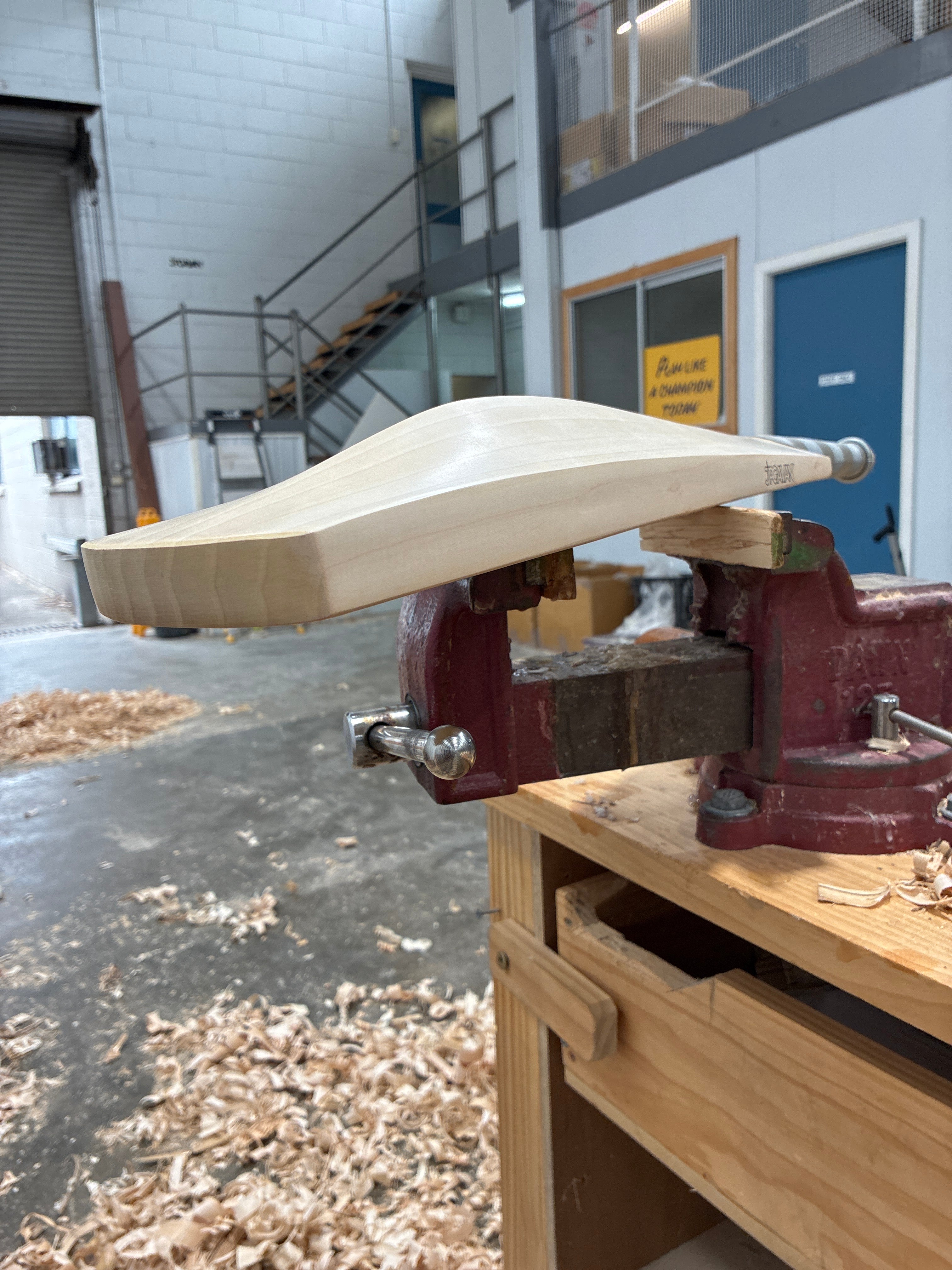 JPGavan Professional Plus Cricket Bat - 317