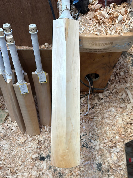JPGavan Performance Cricket Bat - 618