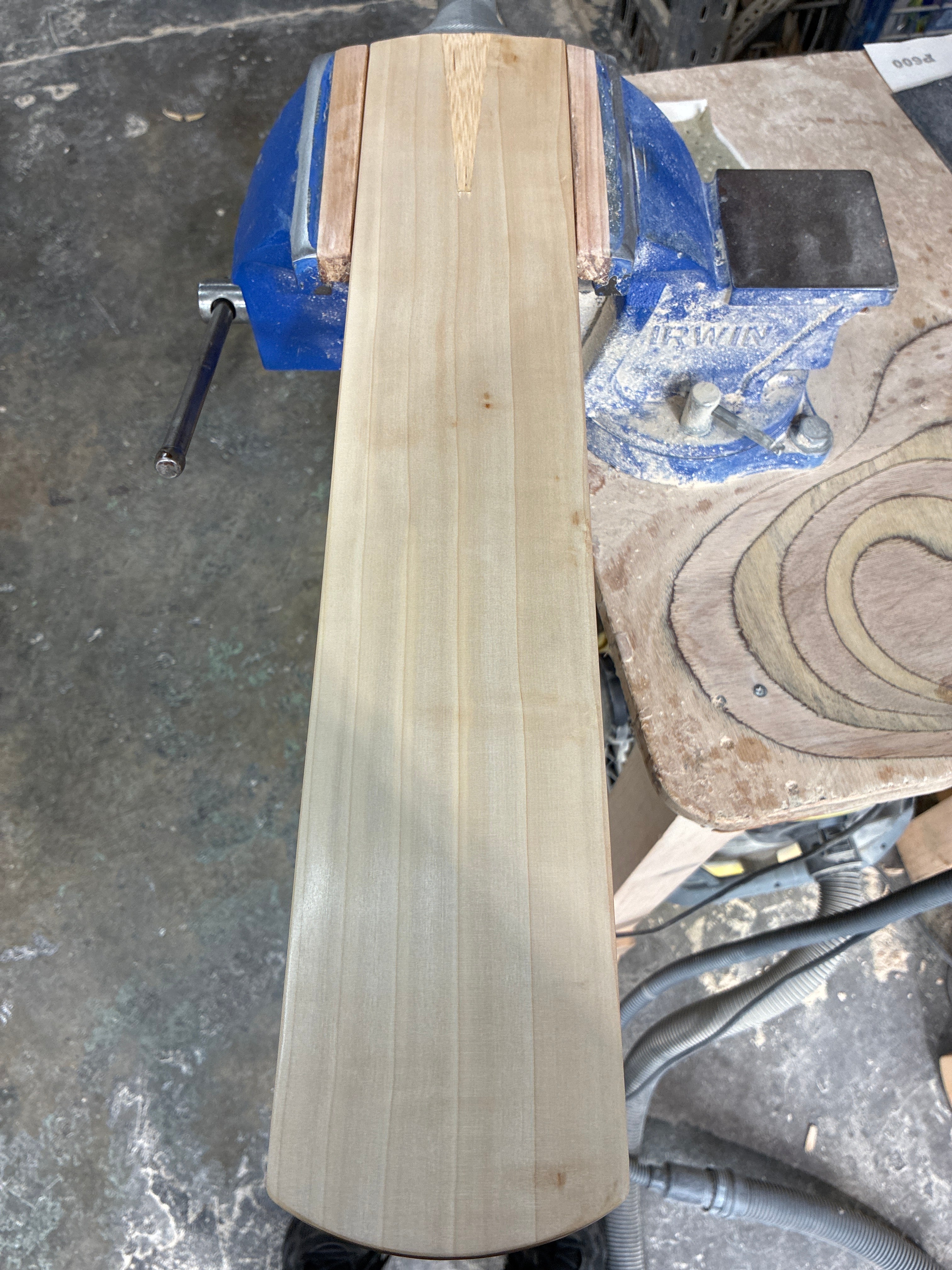 JPGavan Performance Cricket Bat - 360