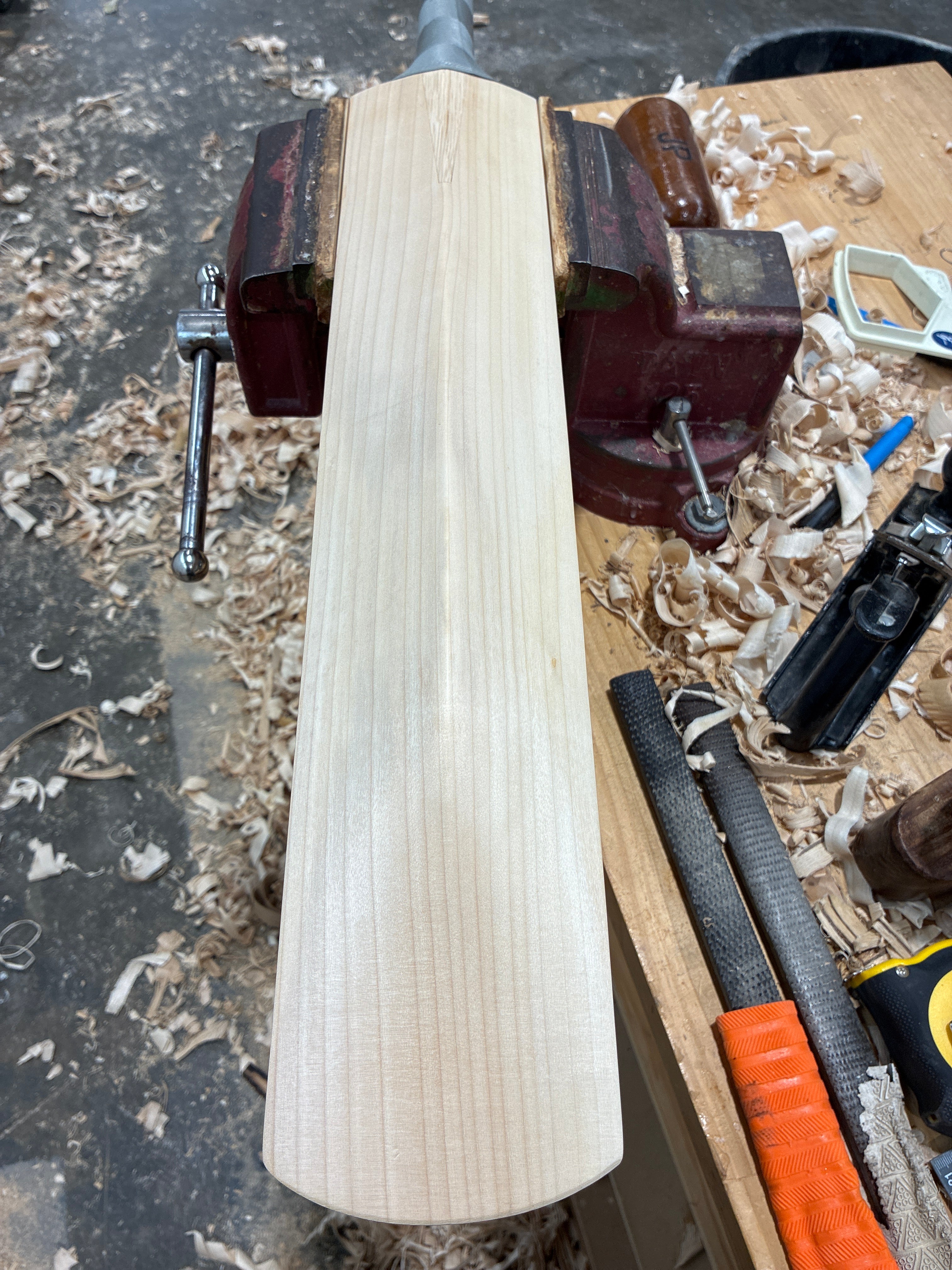 JPGavan Professional Plus Cricket Bat - 316