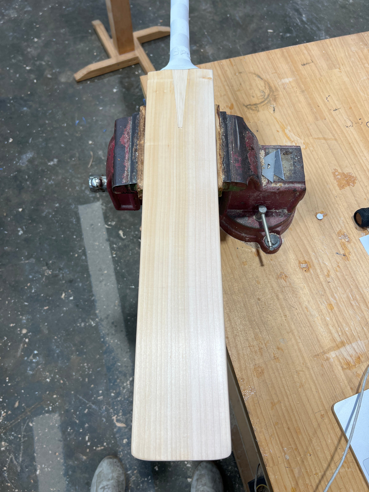 JPGavan Professional Plus Cricket Bat - 450
