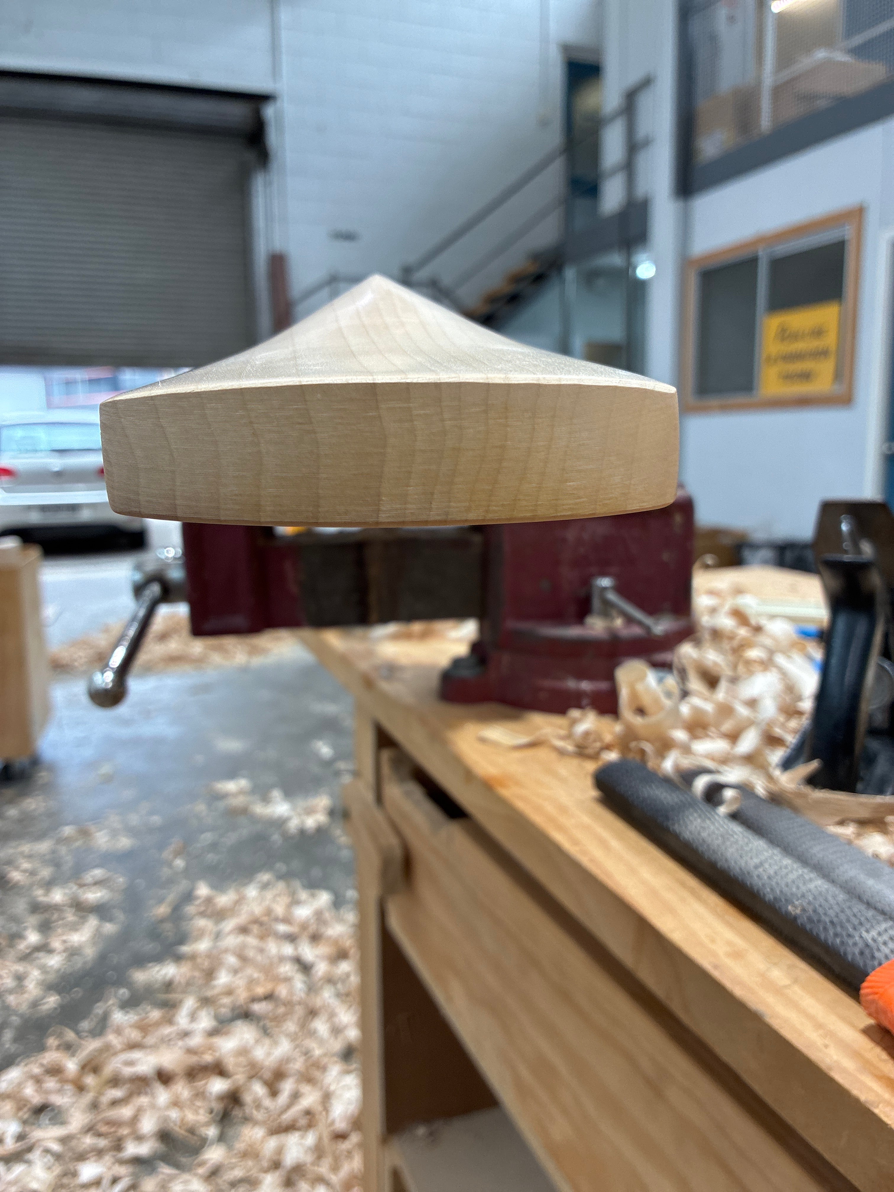 JPGavan Professional Plus Cricket Bat - 316