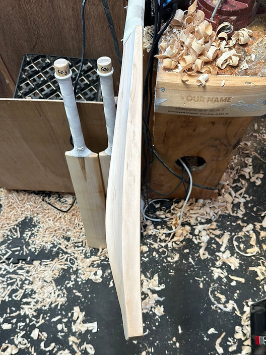 JPGavan Performance Cricket Bat - 602