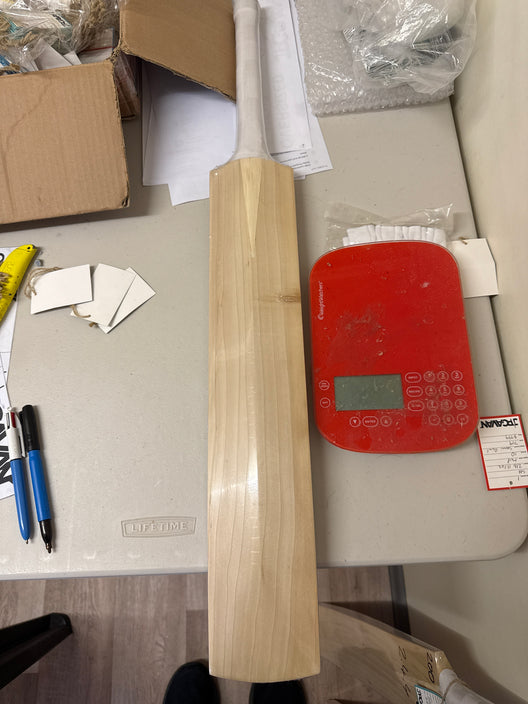 JPGavan Little Ripper Bat Cricket Bat - 201
