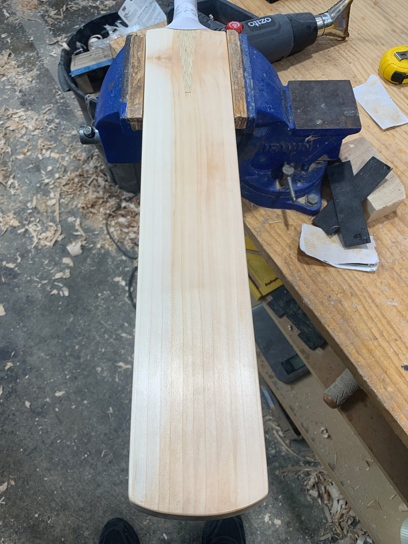 JPGavan Professional Plus Cricket Bat - 172