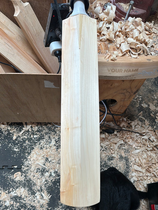 JPGavan Test Cricket Bat - 505