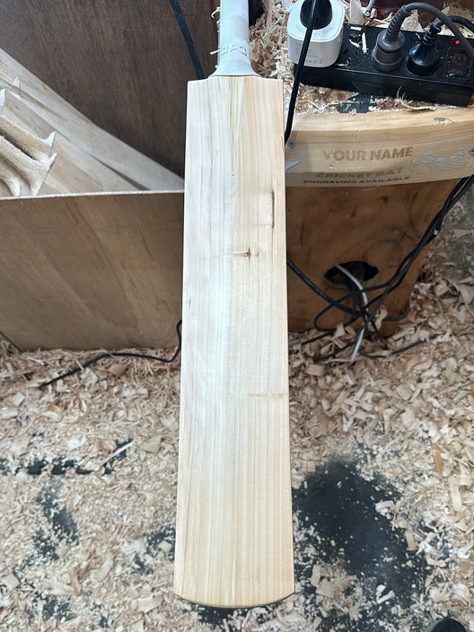 JPGavan Performance Cricket Bat - 573