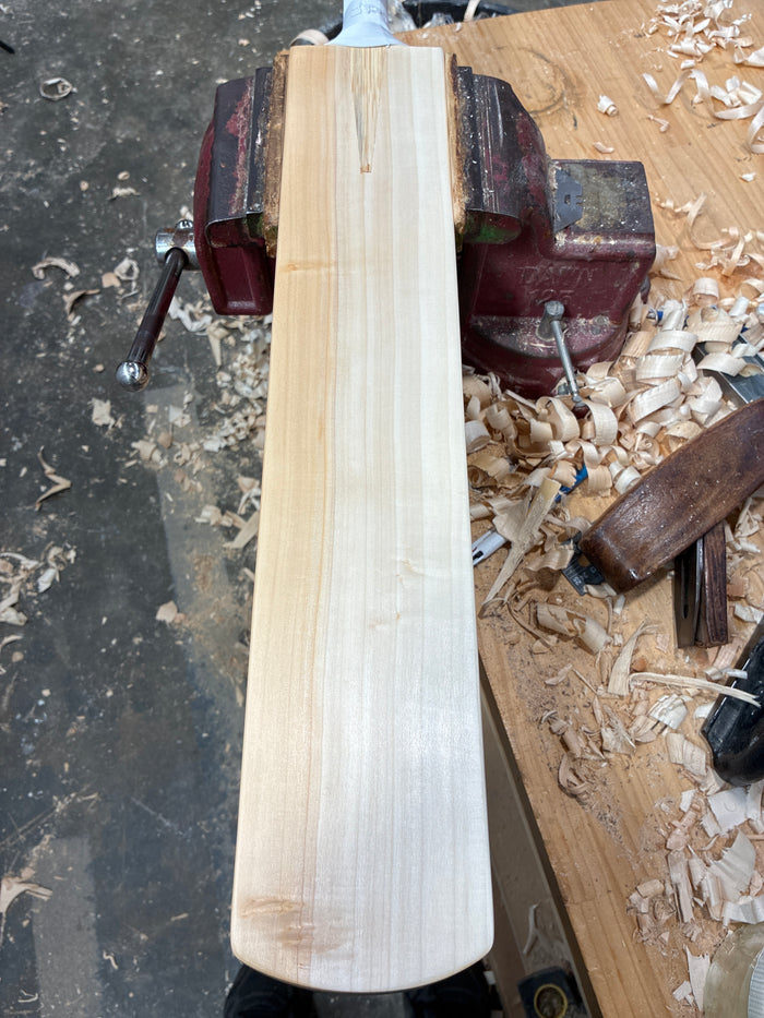 JPGavan Test Cricket Bat - 417