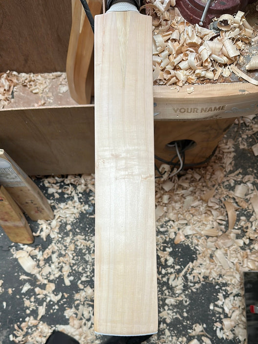 JPGavan Little Ripper Cricket Bat - 235