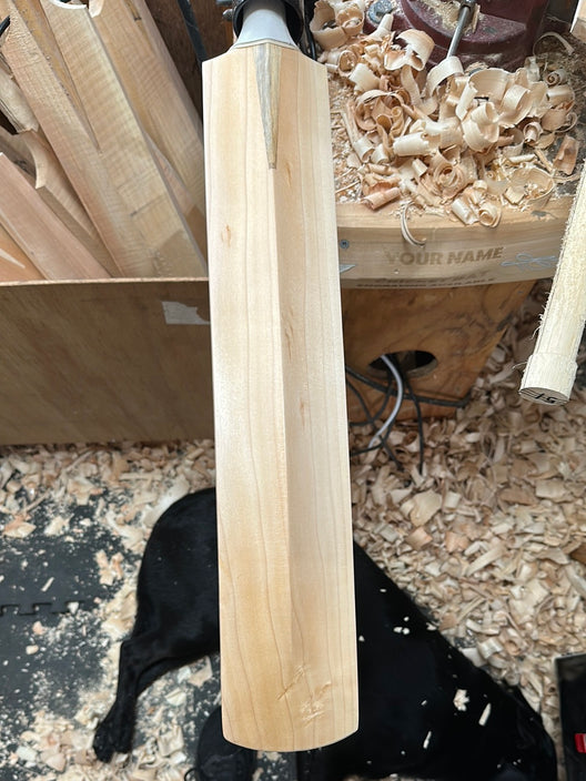 JPGavan Test Cricket Bat - 471