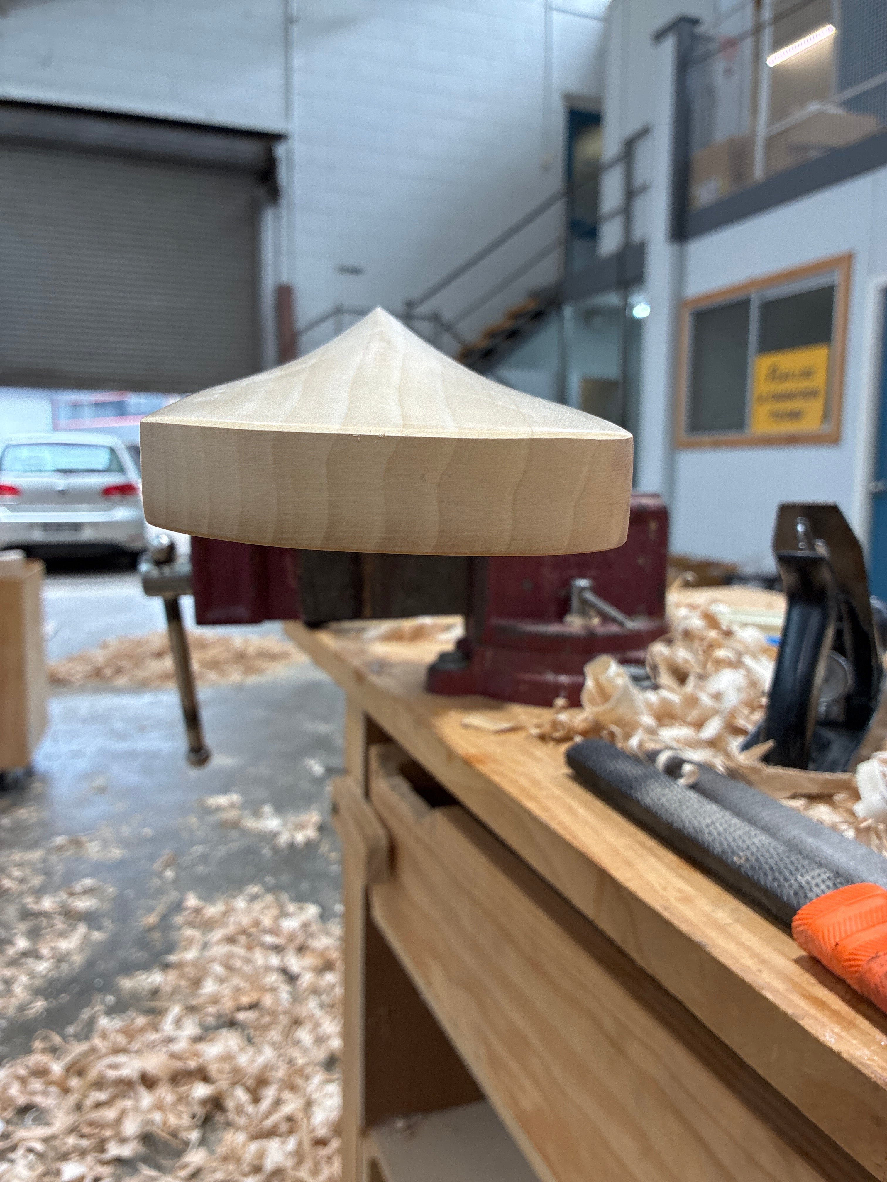 JPGavan Professional Plus Cricket Bat - 317