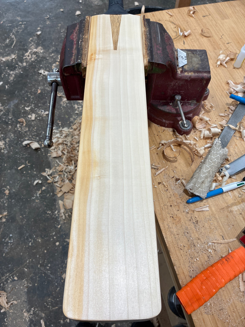 JPGavan Limited Edition Cricket Bat - 358