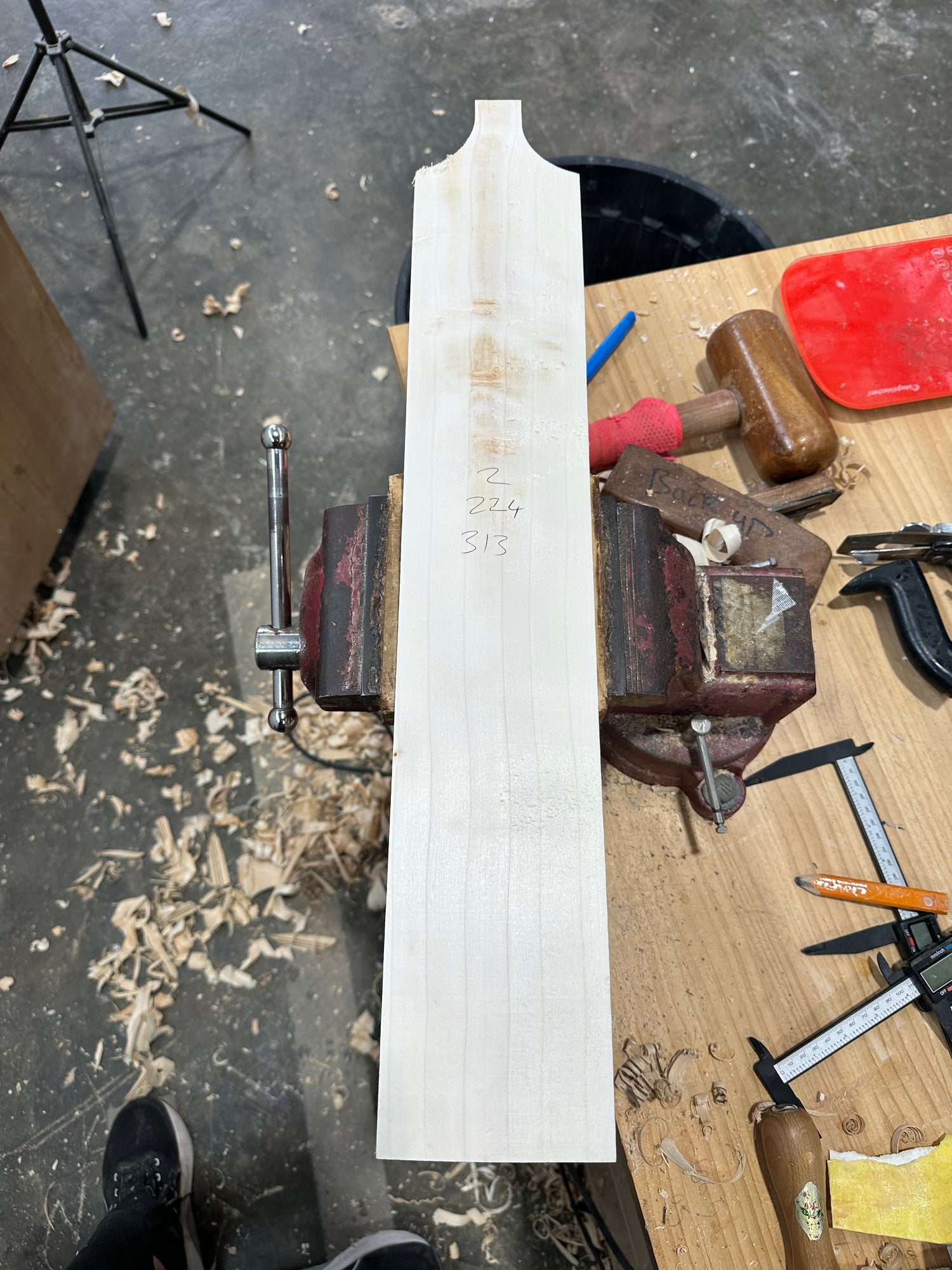 Test clefts