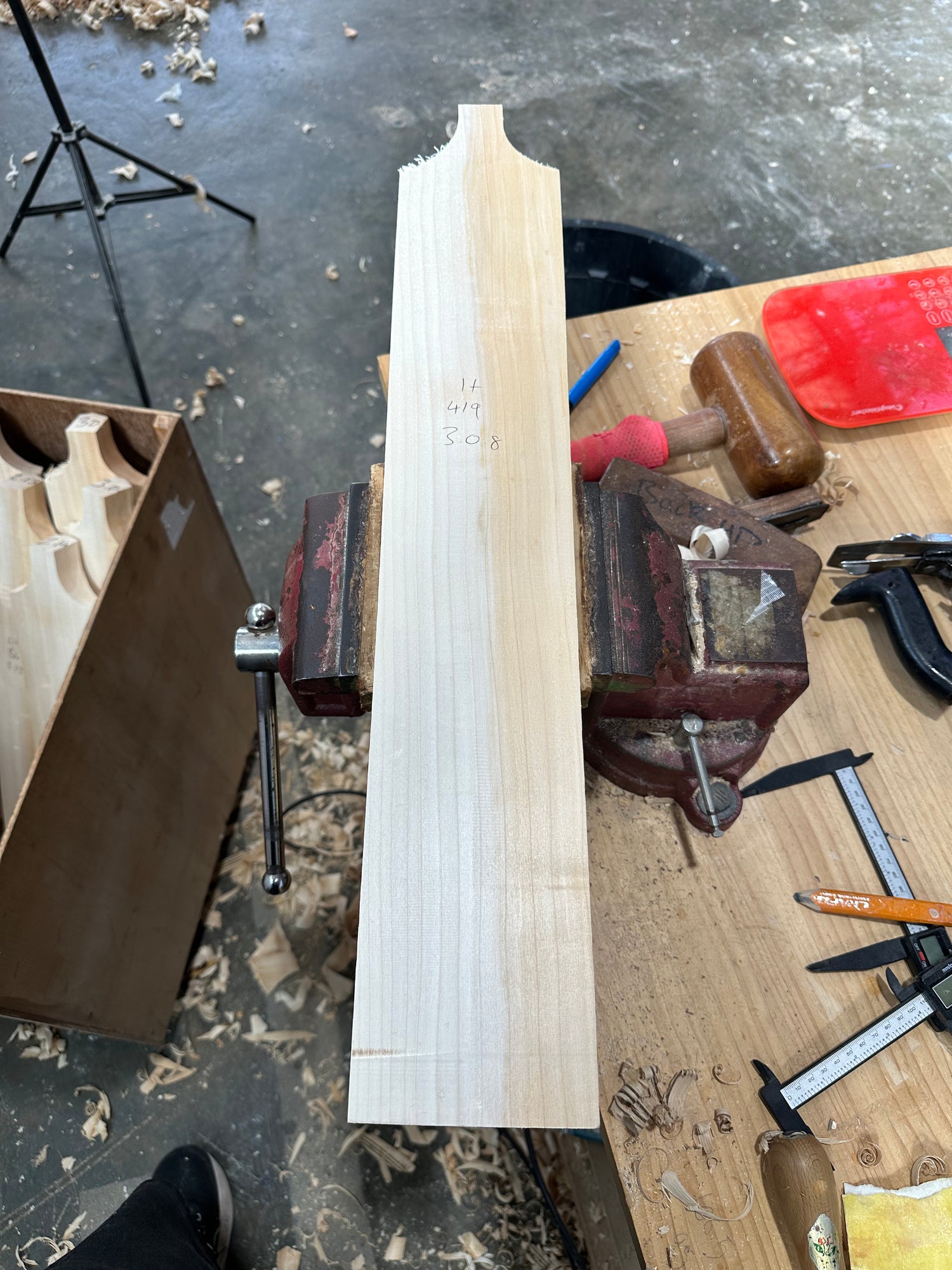 Professional Plus clefts