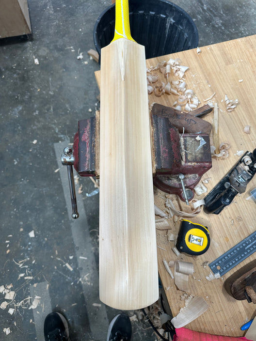 JPGavan Professional Plus Cricket Bat - 060