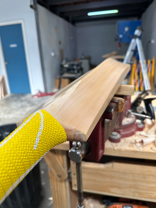 JPGavan Professional Plus Cricket Bat - 060