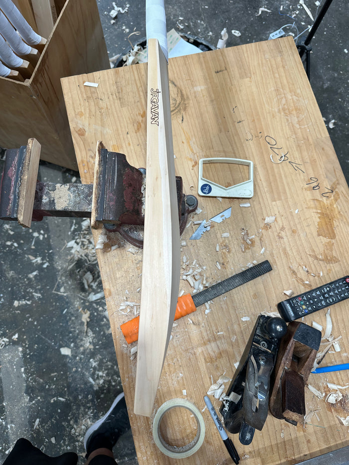 JPGavan Test Cricket Bat - 504