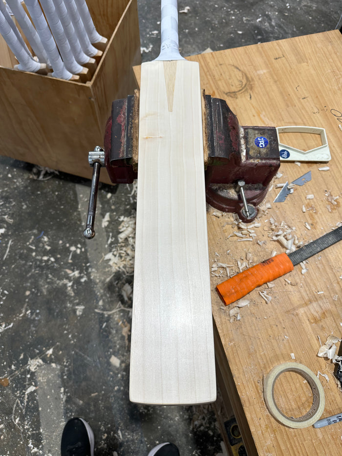 JPGavan Test Cricket Bat - 505